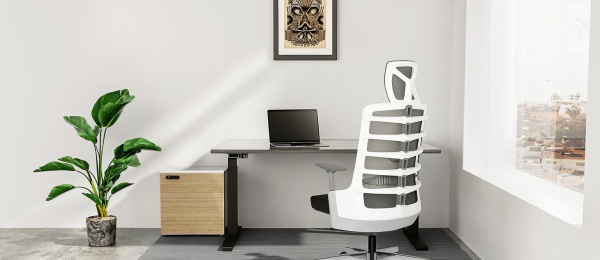 The “Hidden Corner” of a Freelance Designer: Behind Every Viral Logo Is… an Ergonomic Chair